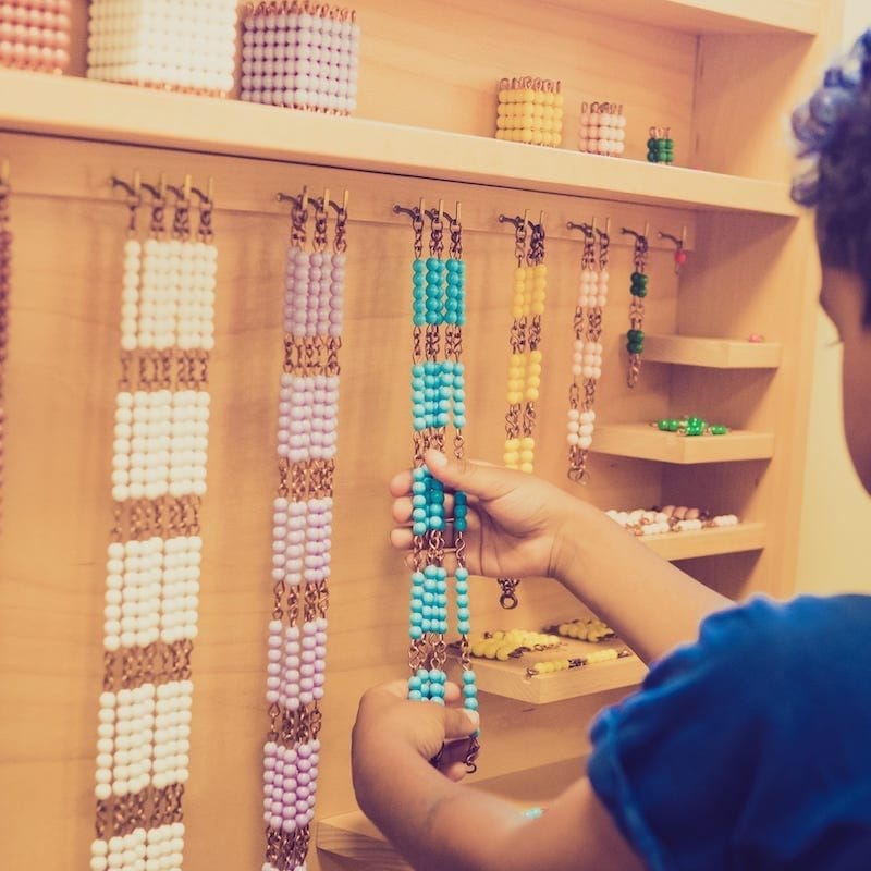 Primary Program | Explore Primary Education Today — Paché Montessori