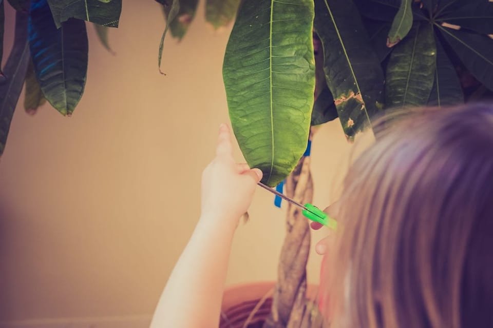 Nature work