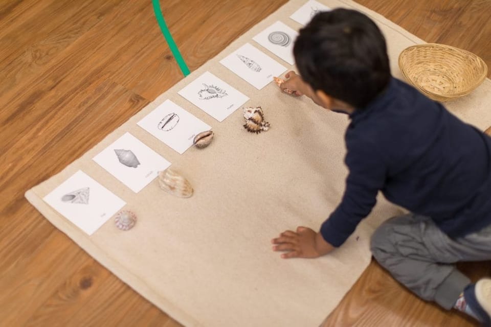 Primary student working in the classroom