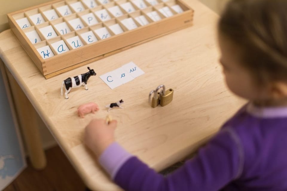 Primary classroom work