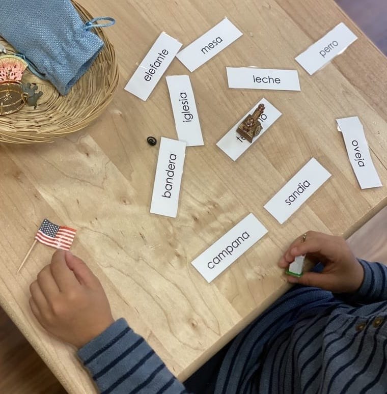 A child matching objects with Spanish vocabulary at Paché Montessori